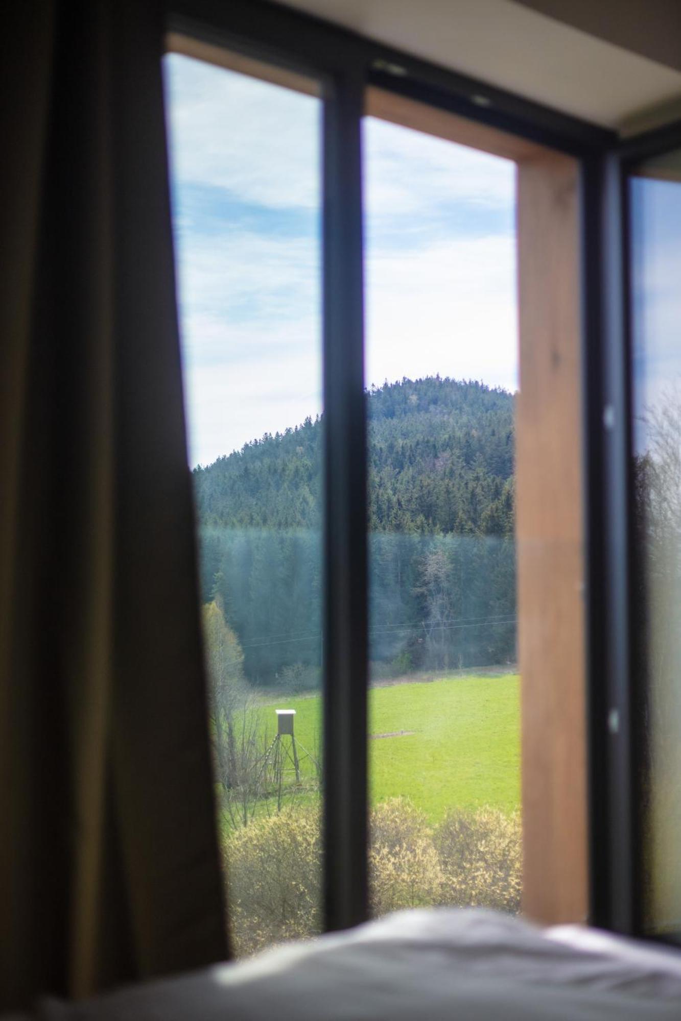 Vila Dvorecna Villa Loučovice Exteriör bild