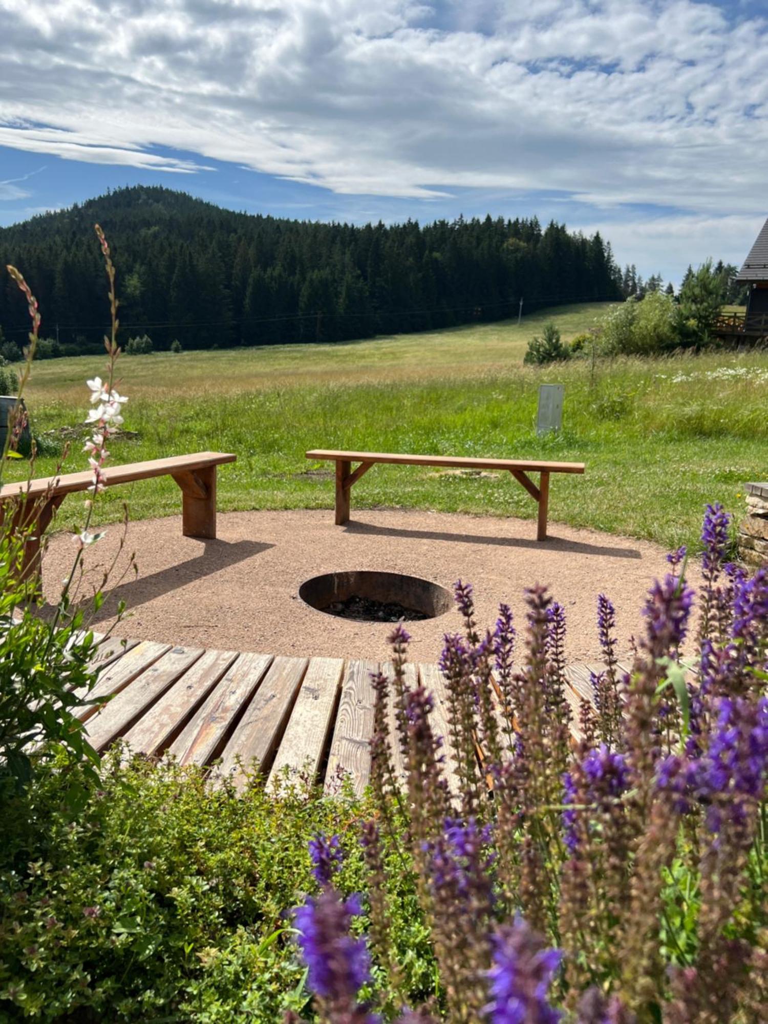 Vila Dvorecna Villa Loučovice Exteriör bild