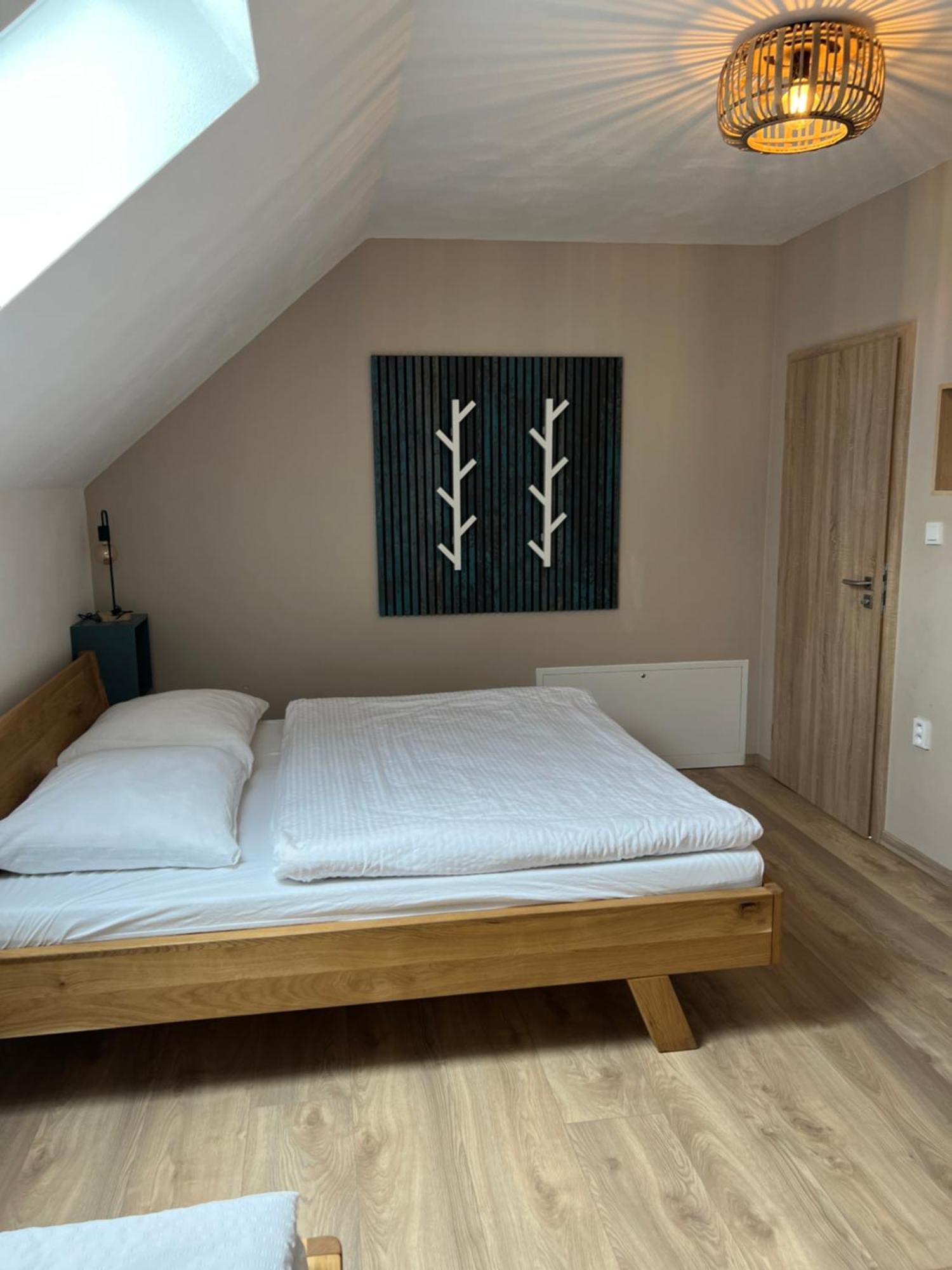 Vila Dvorecna Villa Loučovice Exteriör bild