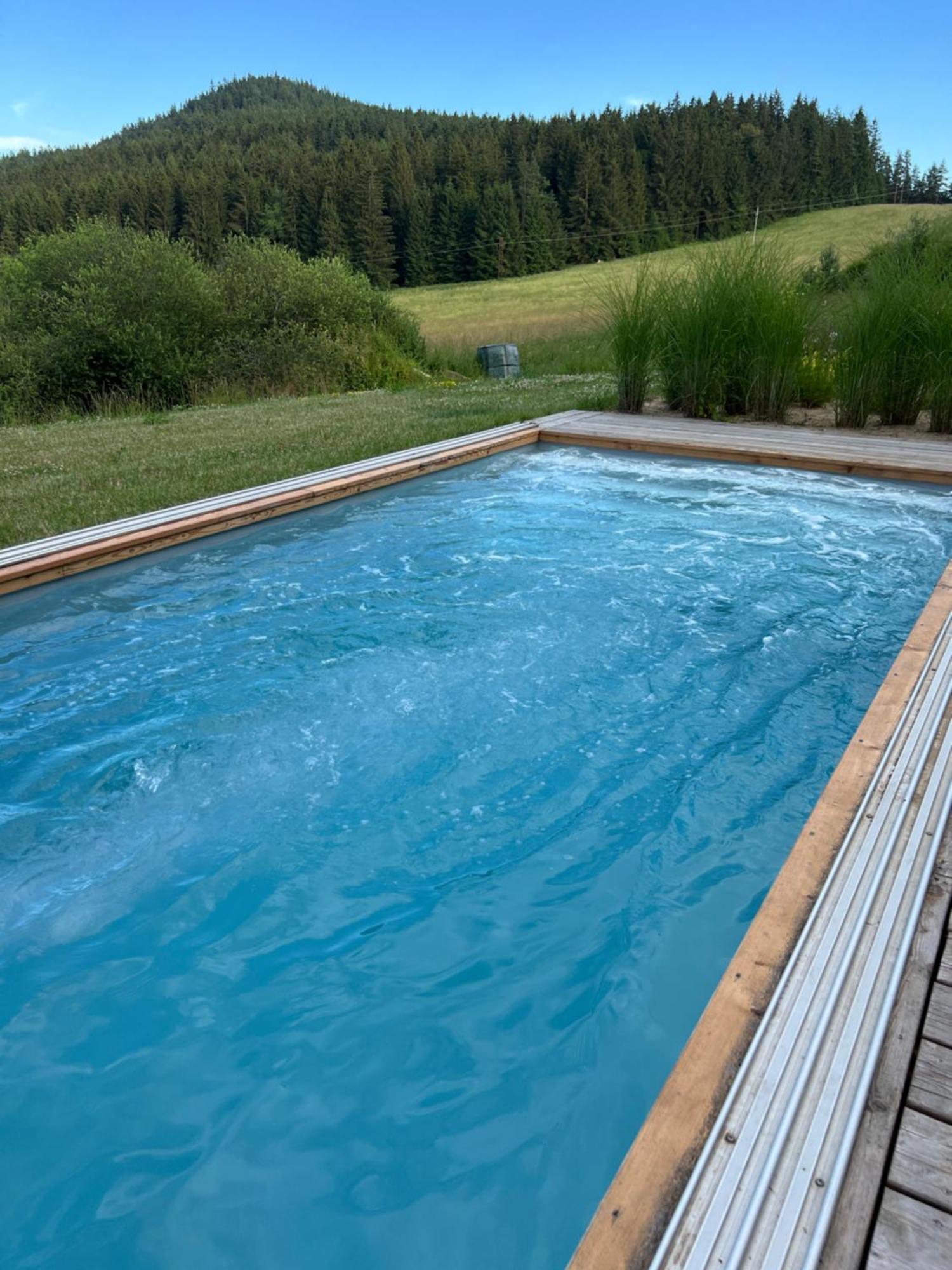 Vila Dvorecna Villa Loučovice Exteriör bild